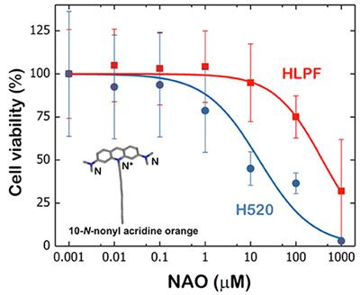 Enhanced Cytotoxic Activity of Mitochondrial Mechanical Effectors in Human Lung Carcinoma H520 Cells: Pharmaceutical Implications for Cancer Therapy